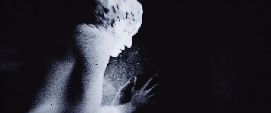 Polia and Blastema performance visuals